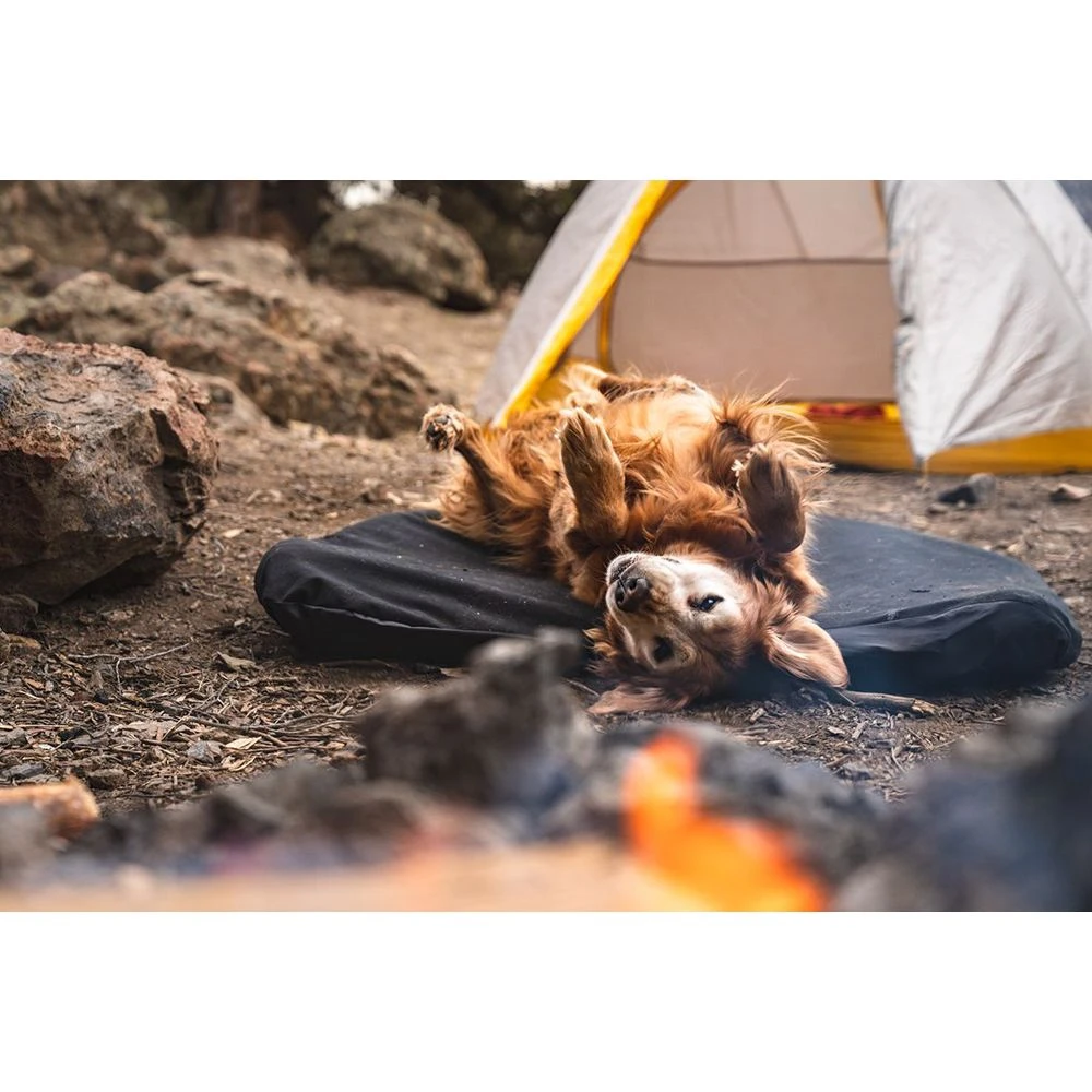 Klymit Moon Dog Bed 6 Klymit Moon Dog Bed - Image 4