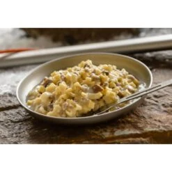 Mountain House Beef Stroganoff Adventure Meal -BlackOvis mountain house beef stroganoff adventure meal lifestyle 1